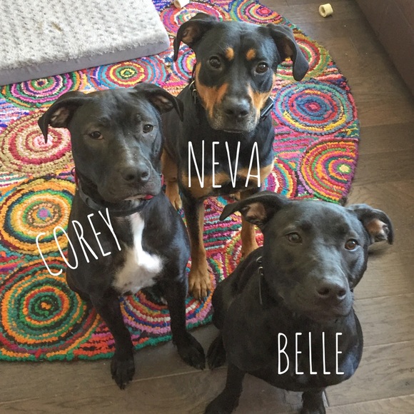 Smoke-free, pet friendly home! - Picture 2 of 5